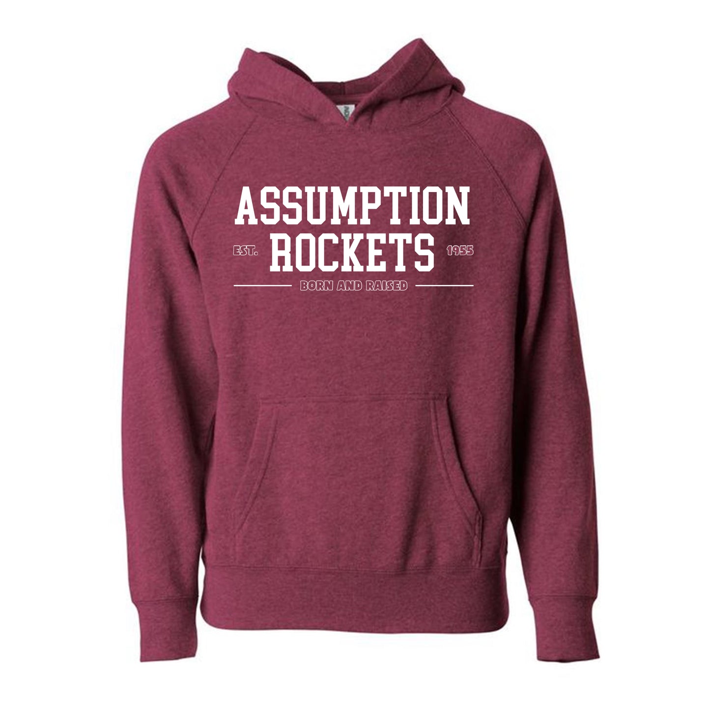 Toddler/Youth Hoodie - AHS Born & Raised
