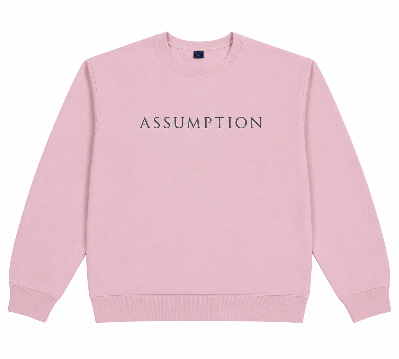 Pink Sweatshirt Assumption Grey