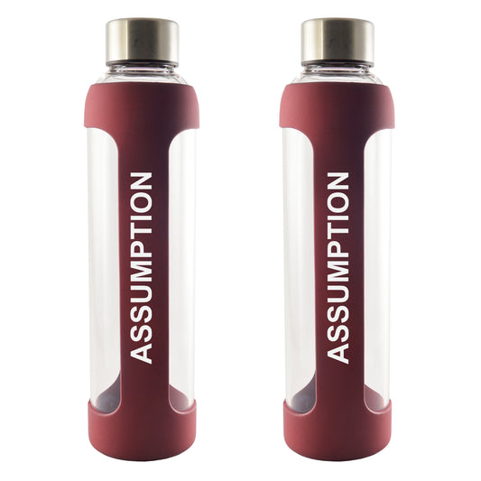 Water Bottle-Glass Silicone Maroon