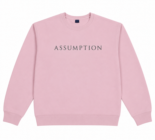 Pink Sweatshirt Assumption Grey