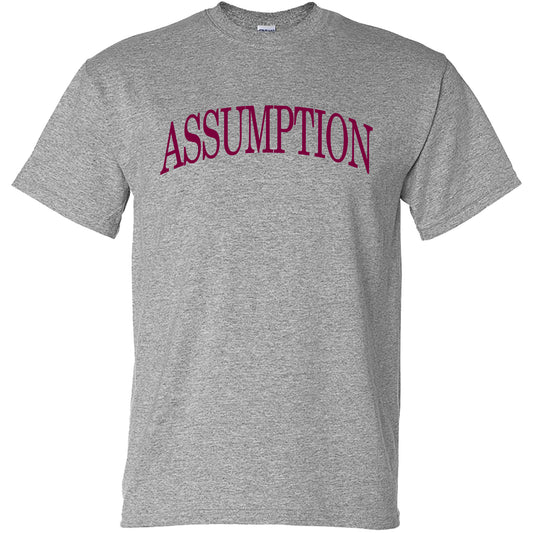 T-Shirt - Grey - Assumption Classic