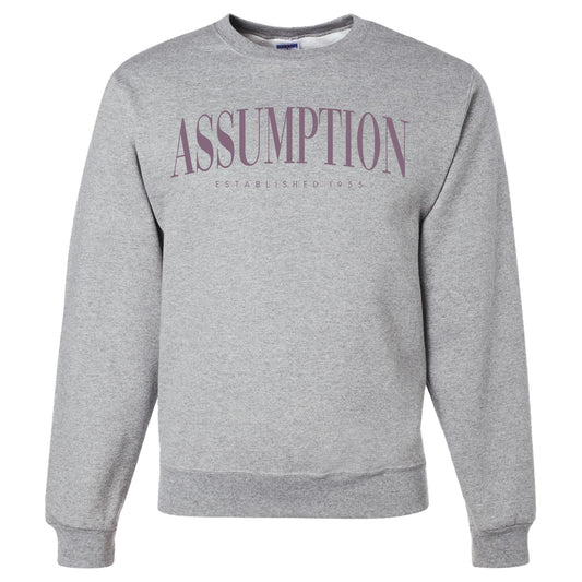 Sweatshirt - Crew Neck - Grey - Vintage Assumption