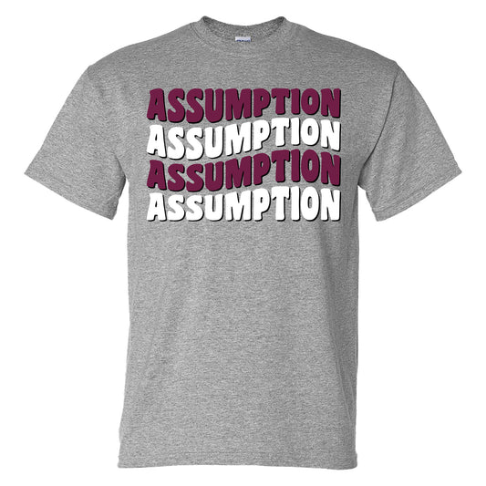 T-shirt - Grey - Assumption Repeat