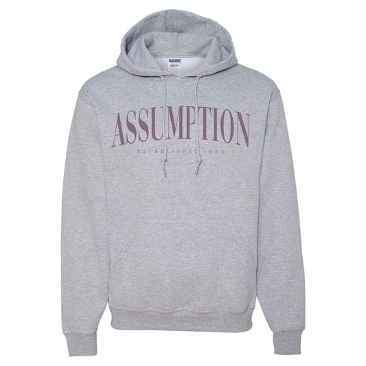 Sweatshirt - Hoodie - Grey - Assumption
