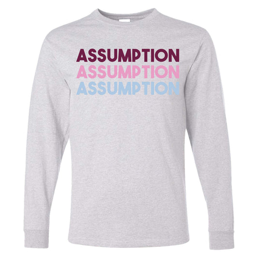 T-shirt - Long Sleeve - Grey - Assumption Repeat
