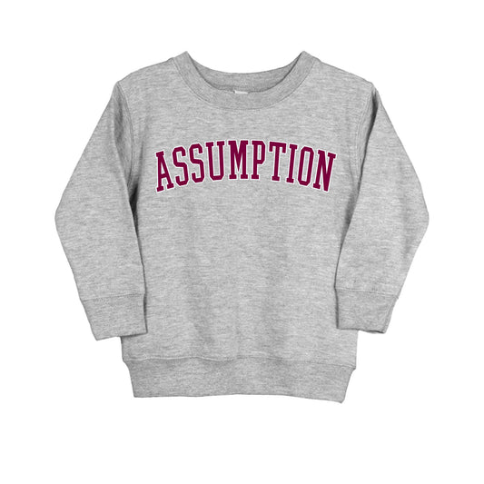 Sweatshirt - Toddler Crew Neck - Grey - Assumption